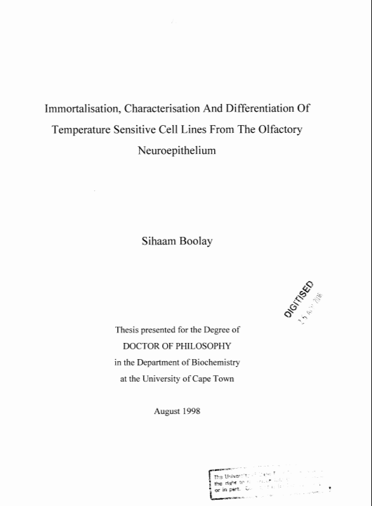 there is no image