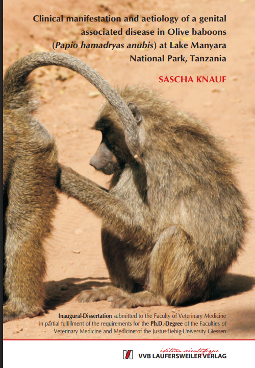 there is no image
