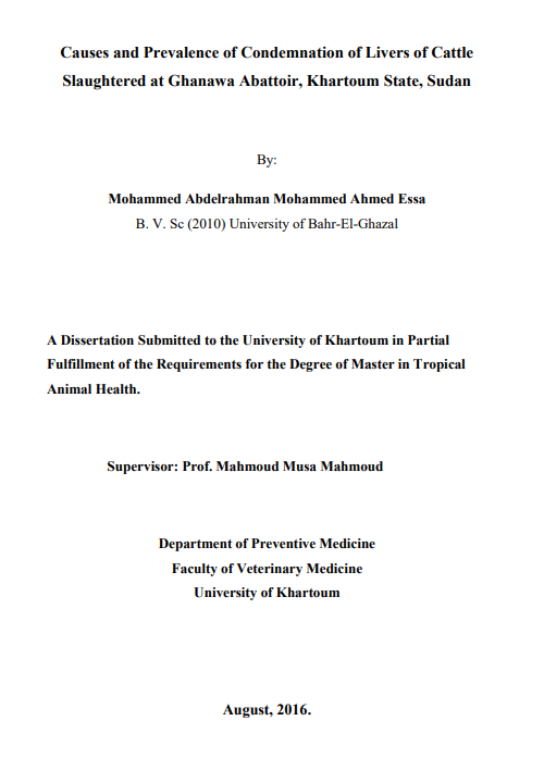 there is no image